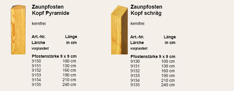 Artikelabbildungen Zaunpfosten Kopf Pyramide und schräg